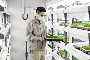 植物工厂的真正潜力 以食品安全为核心的计算机赋能之路